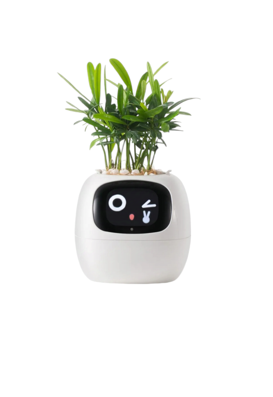 Smart Planter Endless Fun Over And AI Chips Make Raising Plants Easy And Fun