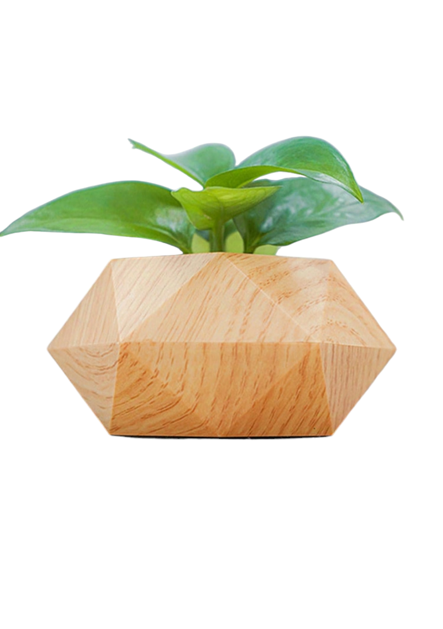 Floating Magnetic Levitating Flower Pot Bonsai Air Plant Pot Planter Potted For Home Office Desk Decor Creative Gift