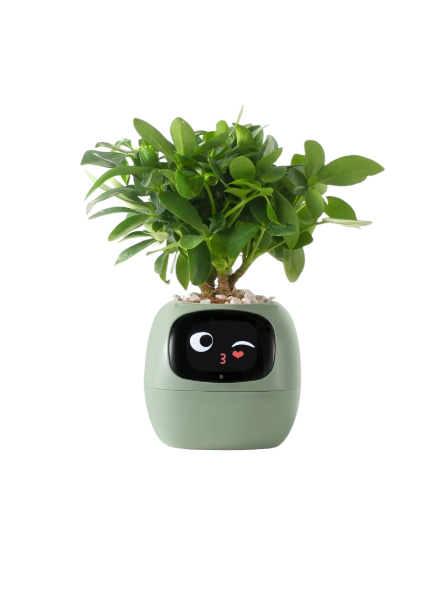 Smart Planter Endless Fun Over And AI Chips Make Raising Plants Easy And Fun